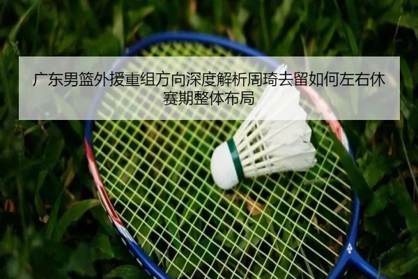 guang-dong-nan-lan-wai-yuan-chong-zu-fang-xiang-shen-du-jie-xi-zhou-qi-qu-liu-ru-he-zuo-you-xiu-sai-qi-zheng-ti-bu-ju-2-497.jpg